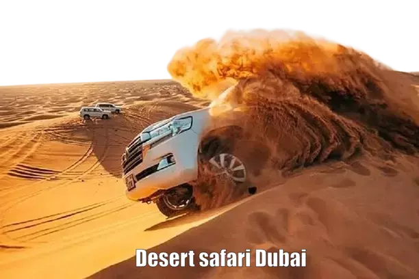 ✨ Explorez Dubaï comme jamais auparavant !
